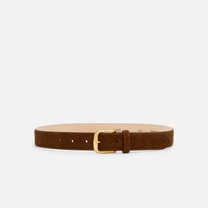 Aureum Brown Suede Belt with Gold Buckle